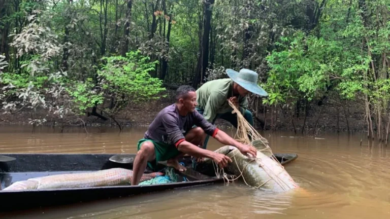 auxílio pescador